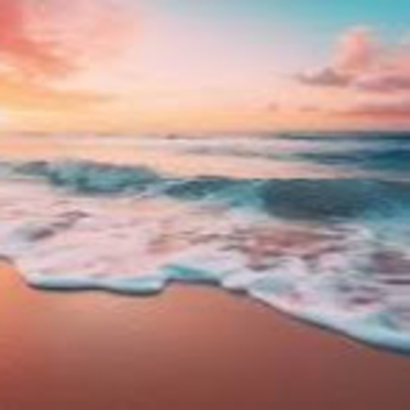 Meet your Posher, Sofia - Picture 1 of 1